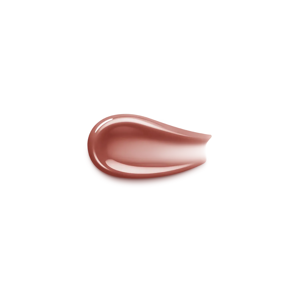 Gloss À Lèvres 3D Hydra - ref : 21 Brun Rose